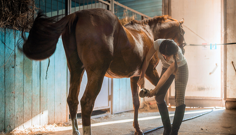 Rubbermats Horse Alleyway Mats
